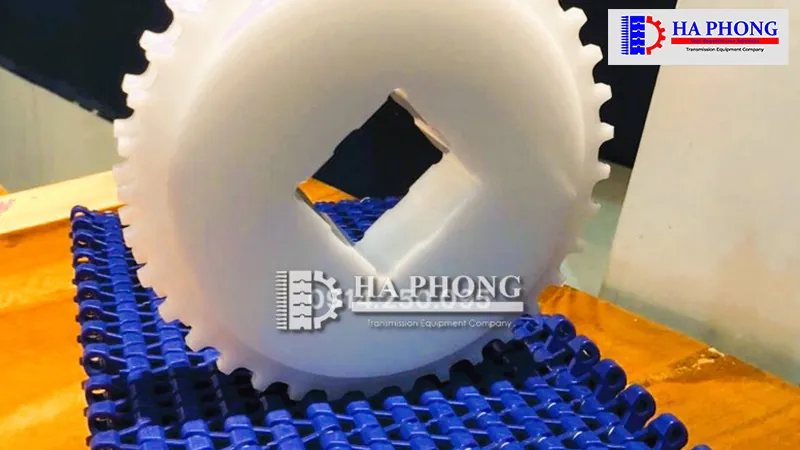 Băng tải Habasit M1234 Nut top các loại Băng tải Habasit M1234 Nut Top