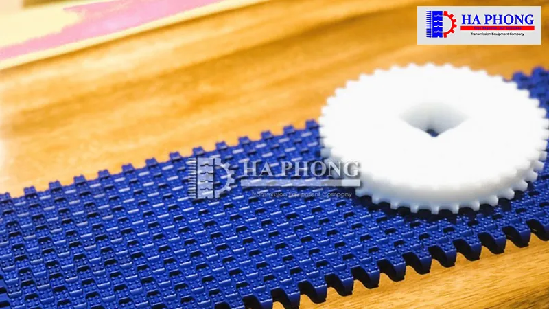 Băng tải Habasit M1234 Nut top Băng tải Habasit M1234 Nut top