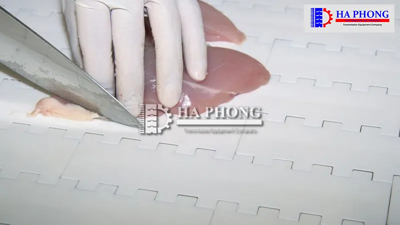 Ứng dụng Băng tải nhựa Habasit M5010
