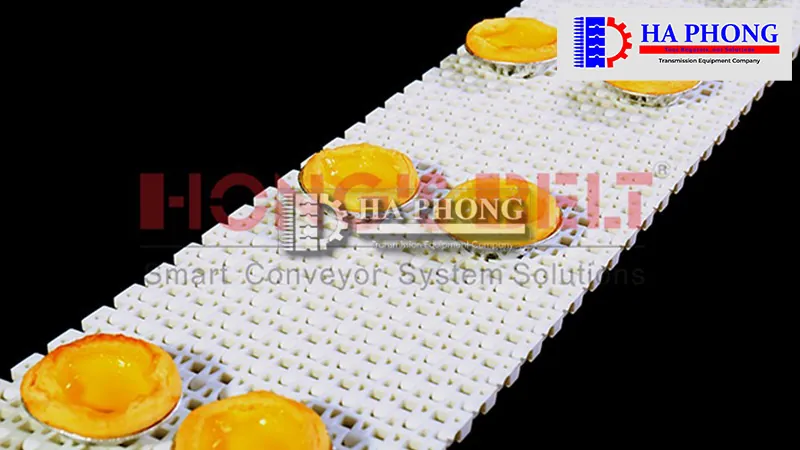 Băng tải nhựa HS-2500B có cánh gạt