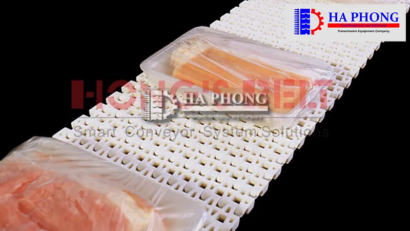 Cấu tạo băng tải nhựa HS-2500B 