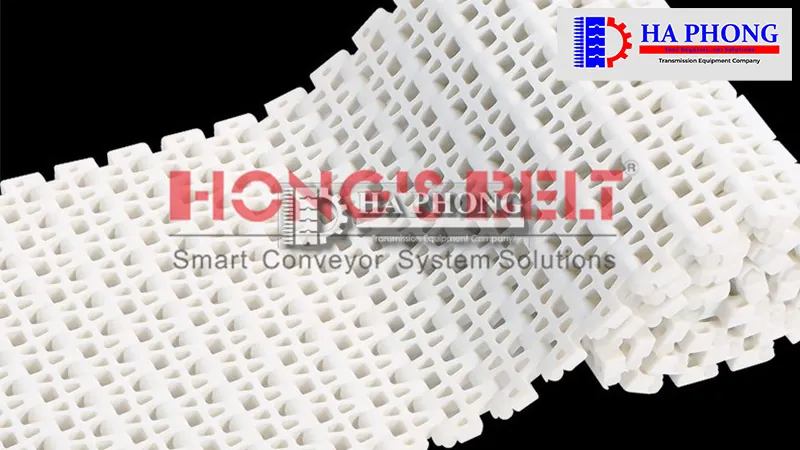 Băng tải nhựa Hong’s belt HS 2500B mặt hở bước 25.4mm 