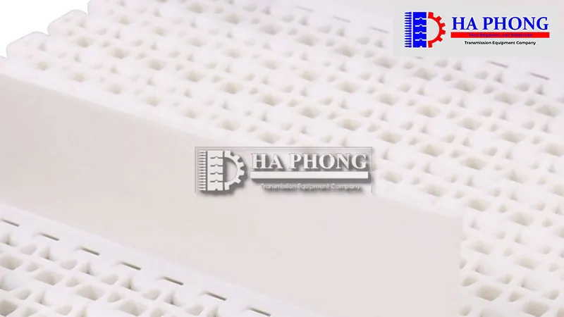 Thông số bánh nhông tiêu chuẩn Băng tải nhựa HS-2500B