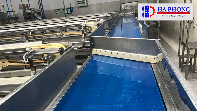 băng tải trong ngành thực phẩm 