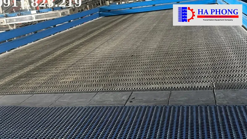 băng tải trong ngành chế biến thực phẩm