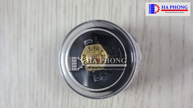 bangtaihaphong bec phun keo valco melton 4