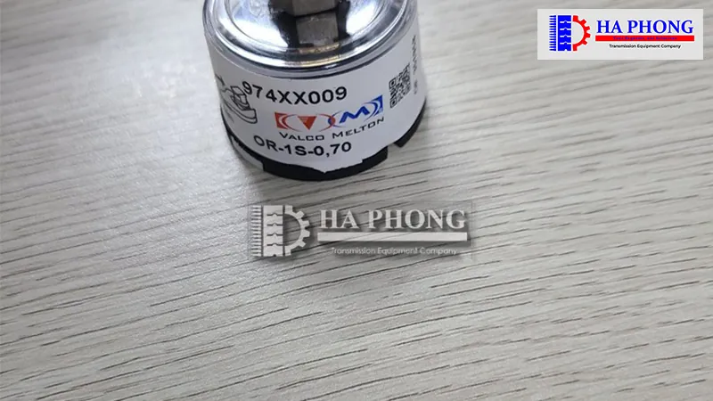 bangtaihaphong bec phun keo valco melton 6