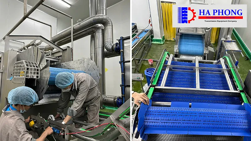Dự án thực tế: Lắp đạt băng tải nhựa cho nhà máy Công nghiệp thực phẩm bangtaihaphong du an thuc te du an thabico tien giang 1