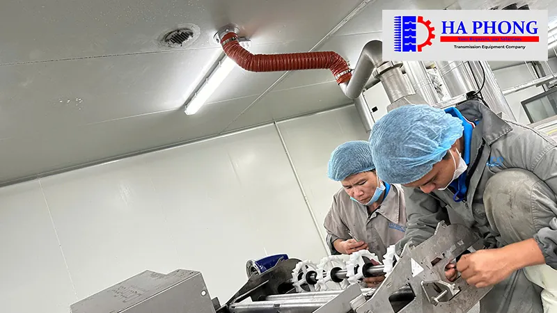 Dự án thực tế: Lắp đạt băng tải nhựa cho nhà máy Công nghiệp thực phẩm bangtaihaphong du an thuc te du an thabico tien giang 2