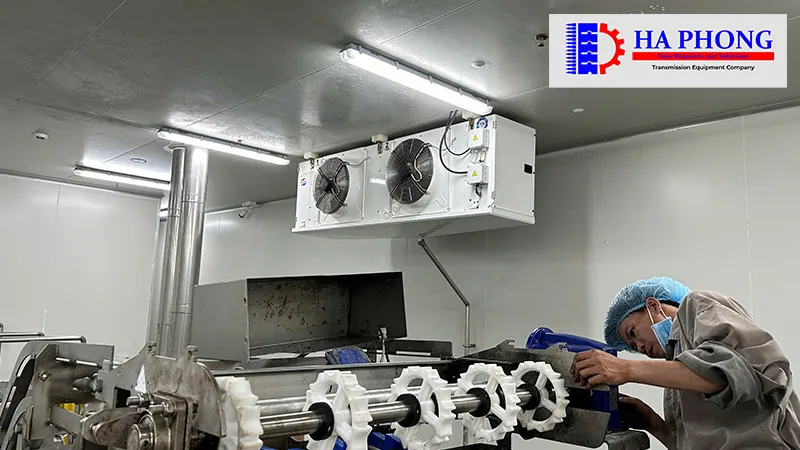 Dự án thực tế: Lắp đạt băng tải nhựa cho nhà máy Công nghiệp thực phẩm bangtaihaphong du an thuc te du an thabico tien giang 3