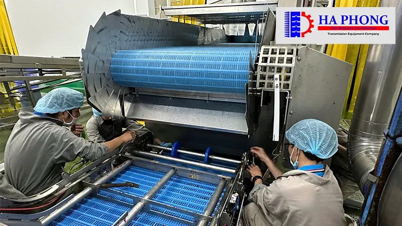 Dự án thực tế: Lắp đạt băng tải nhựa cho nhà máy Công nghiệp thực phẩm bangtaihaphong du an thuc te du an thabico tien giang 5