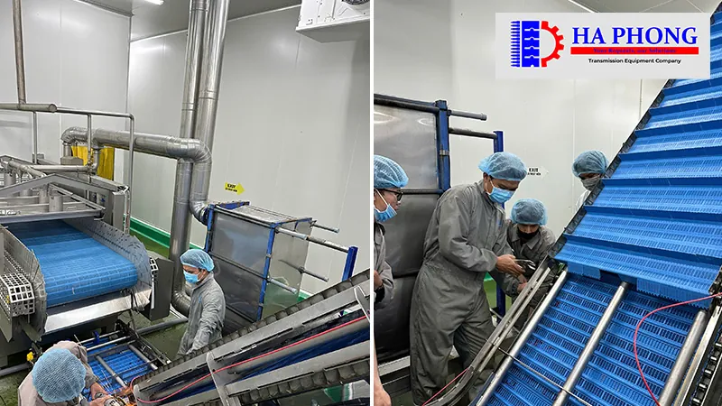 Dự án thực tế: Lắp đạt băng tải nhựa cho nhà máy Công nghiệp thực phẩm bangtaihaphong du an thuc te du an thabico tien giang 8