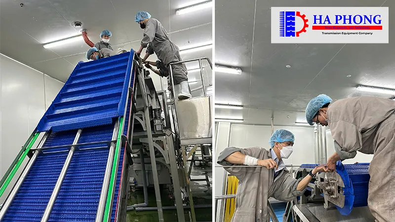 Dự án thực tế: Lắp đạt băng tải nhựa cho nhà máy Công nghiệp thực phẩm bangtaihaphong du an thuc te du an thabico tien giang