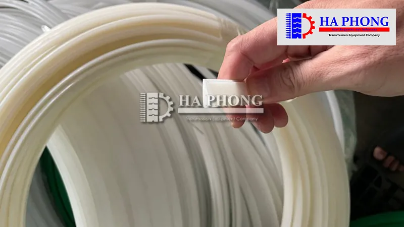 Phụ kiện băng tải nhựa