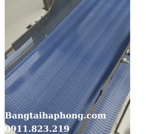 Băng tải nhựa chạy thẳng habasit chuyển tiếp