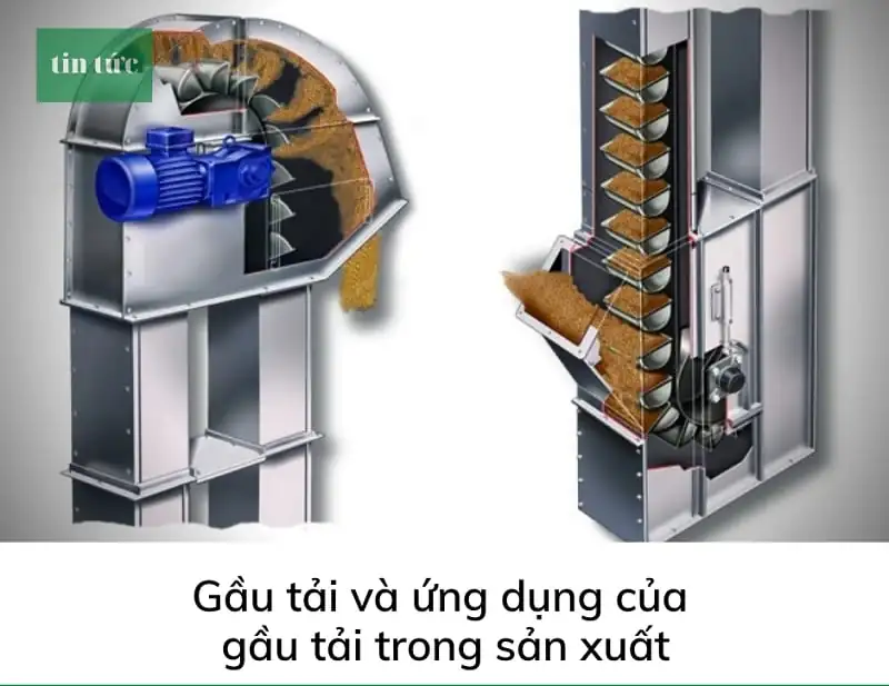 Ứng dụng của băng tải gầu