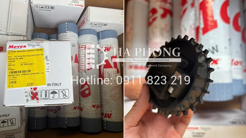 bangtaihaphong bang tai nhua movex 1