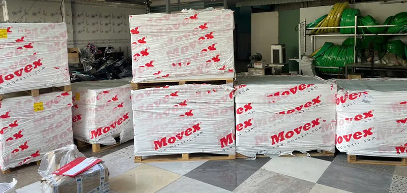 Kho hàng băng tải Movex số lượng lớn của Hà Phong