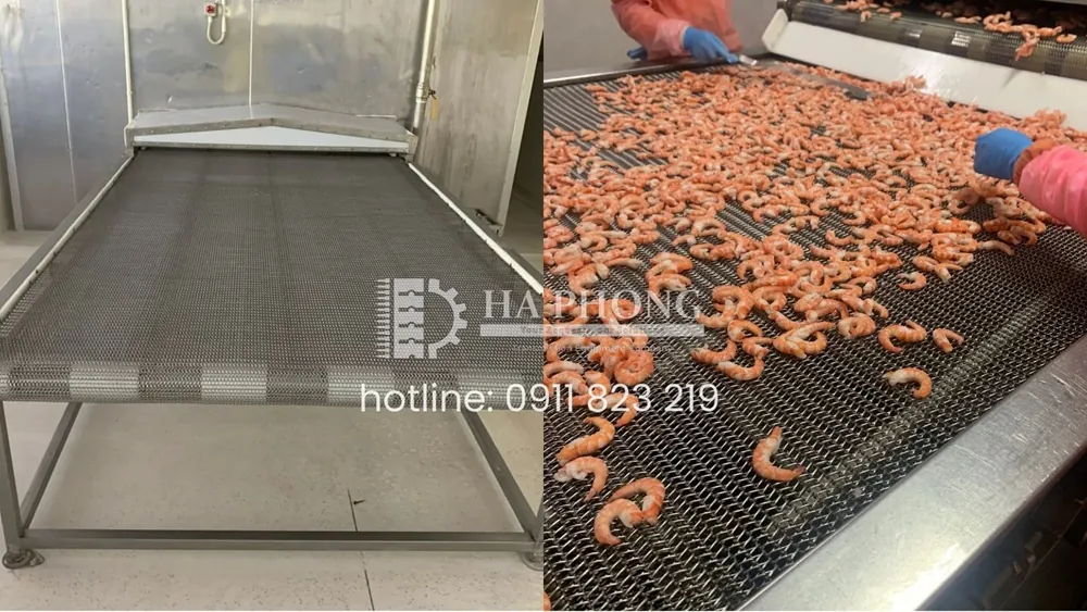 Băng tải lưới inox 304 sợi xoắn cấp liệu đầu vào của hầm IQF