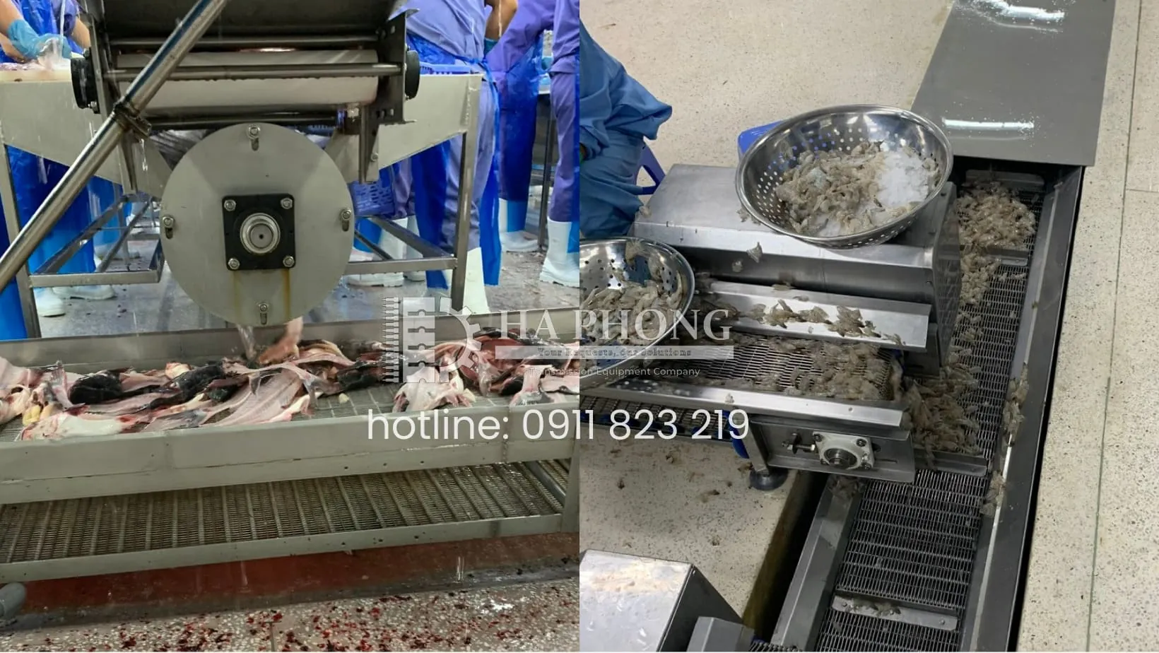 Băng tải lưới inox tải phế phẩm cho nhà máy cá, tôm