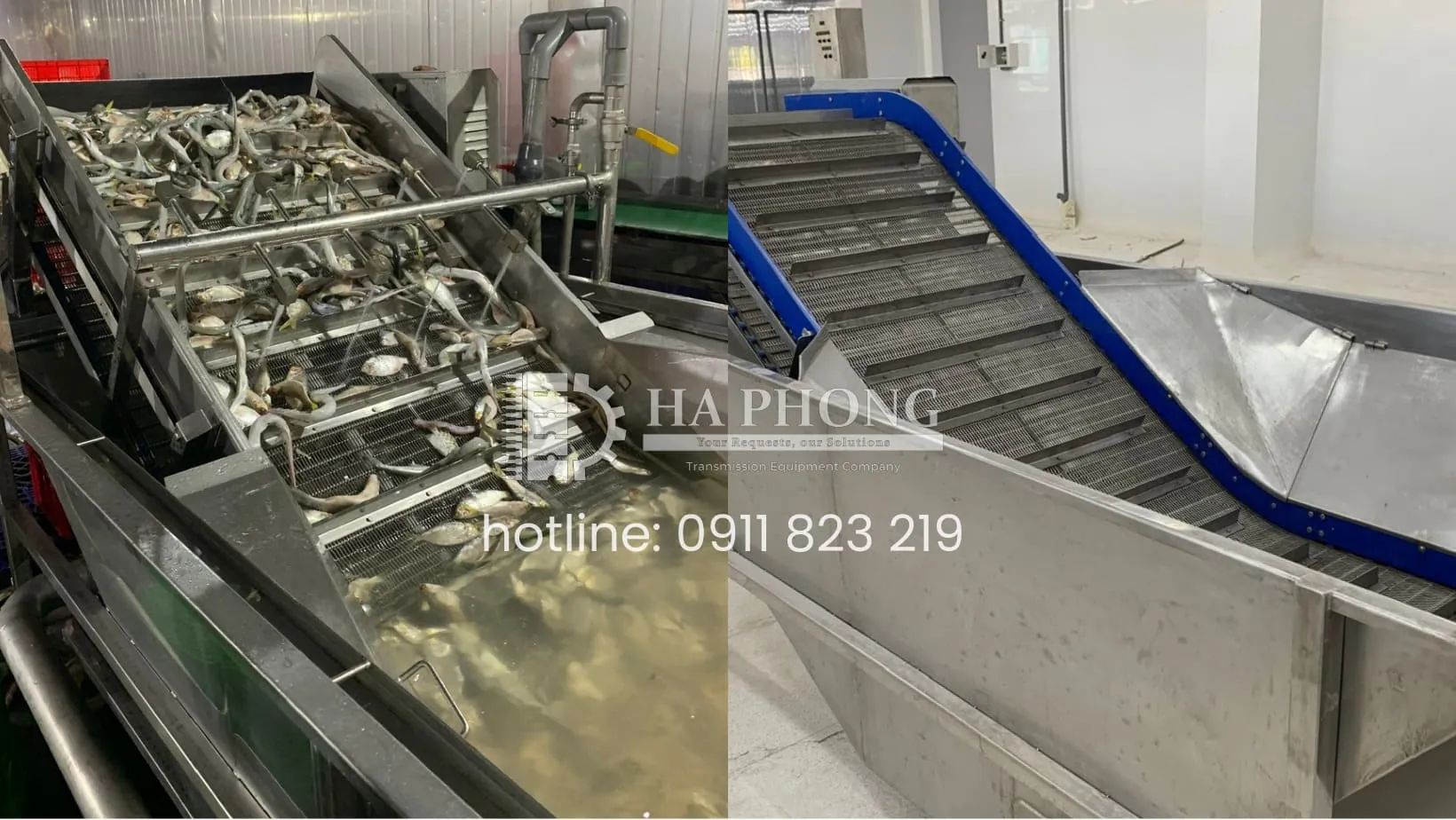Công đoạn cấp liệu đầu vào, rửa nguyên liệu thô các nhà máy sử dụng lưới inox dạng sợi Eyelink