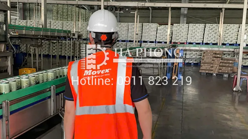 Băng tải Movex – trong dây chuyền chiết bia lon tốc độ cao bangtaihaphong day chuyen chiet bia lon toc do cao 2