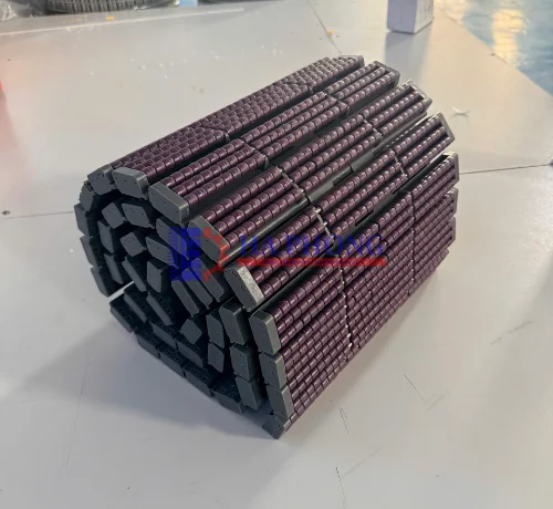 Băng tải xích nhựa HongsBelt HS-LPB 821