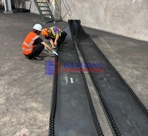 Tìm hiểu chi tiết cấu tạo của băng tải cao su Tìm hiểu chi tiết cấu tạo của băng tải cao su