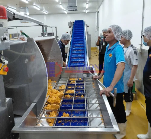 Hệ thống băng tải bột tại nhà máy sản xuất bánh ở Bình Dương