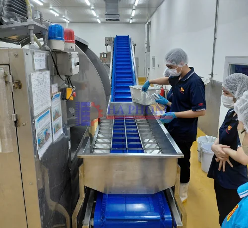 Hệ thống băng tải bột tại nhà máy sản xuất bánh ở Bình Dương