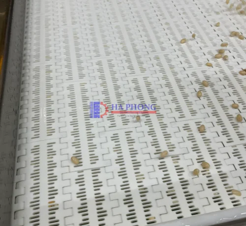 Băng tải HONGS BELT HS 100B 