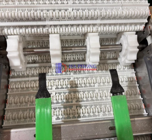 Băng tải HS 100B có sẵn tải xưởng Băng Tải Hà Phong