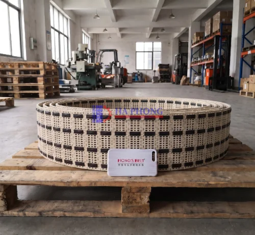 Băng tải nghiêng HS-100B-EL Mặt băng nhựa modular HS-100B EL